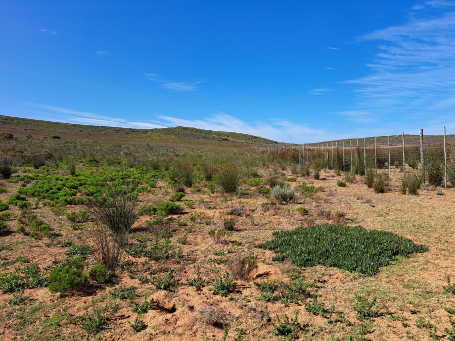 10 Bedroom Property for Sale in Stilbaai Rural Western Cape